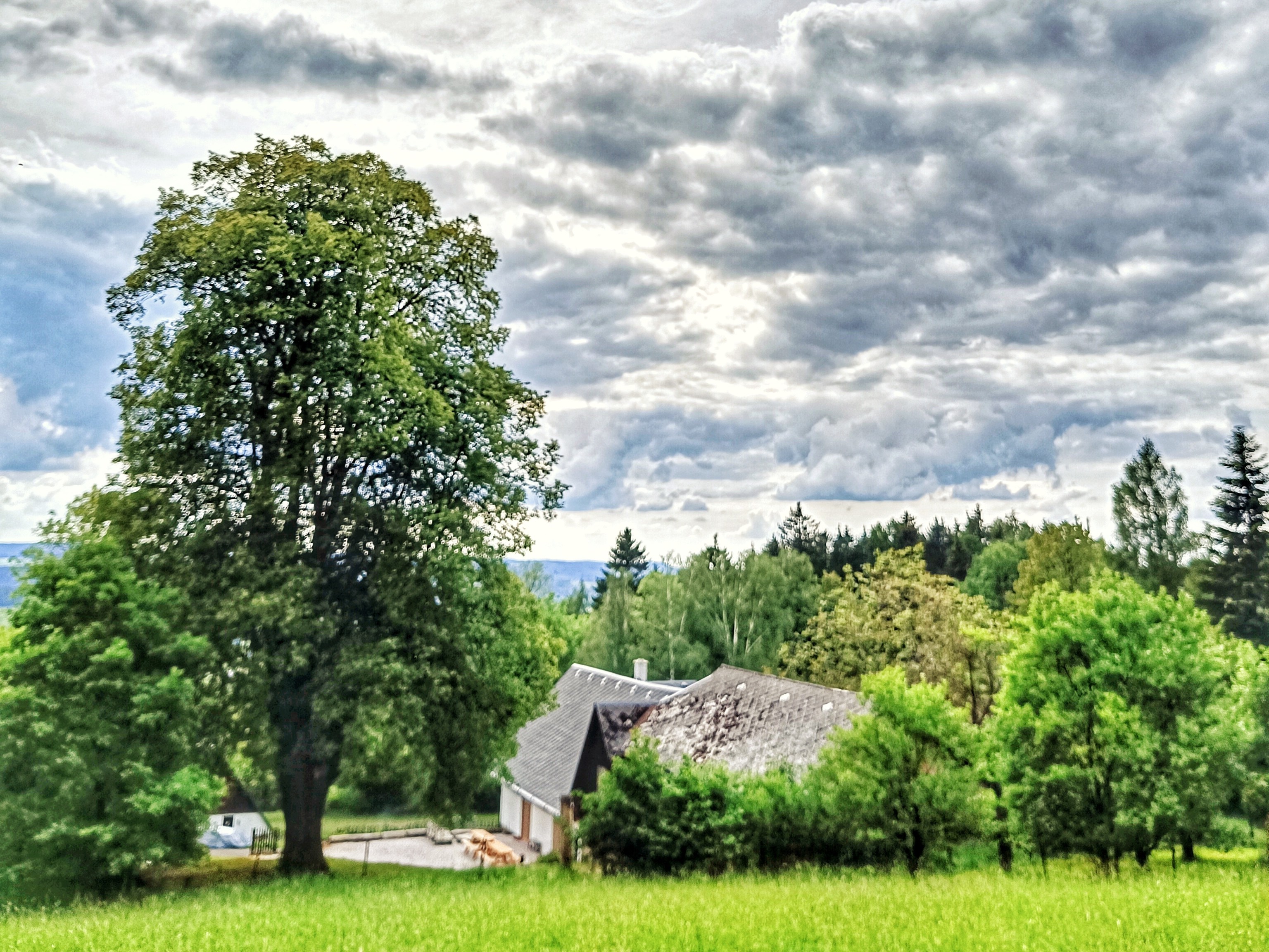 Chaloupka — pohled na zahradu